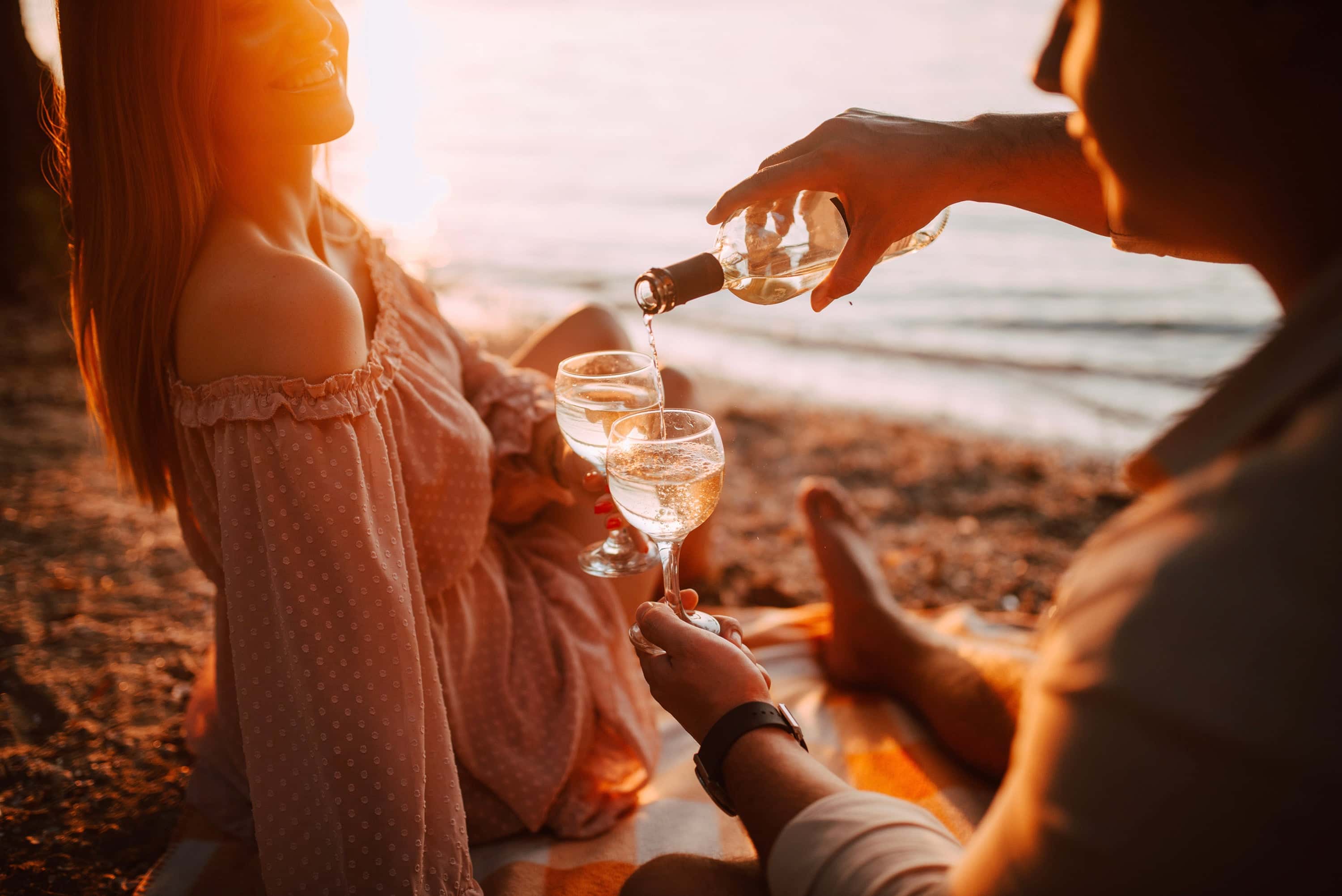 VinGardeValiseワインスーツケースは、ワインを持って飛行するのを簡単