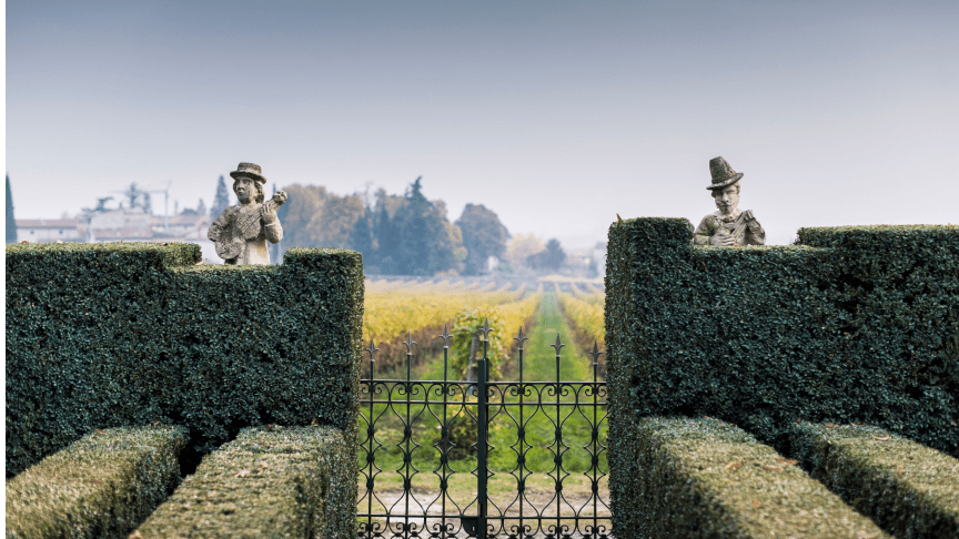 Blog Header IMG - 21 Generations of Winemaking in the Heart of Valpolicella